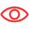 Vision Icon